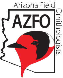 azfo-logo